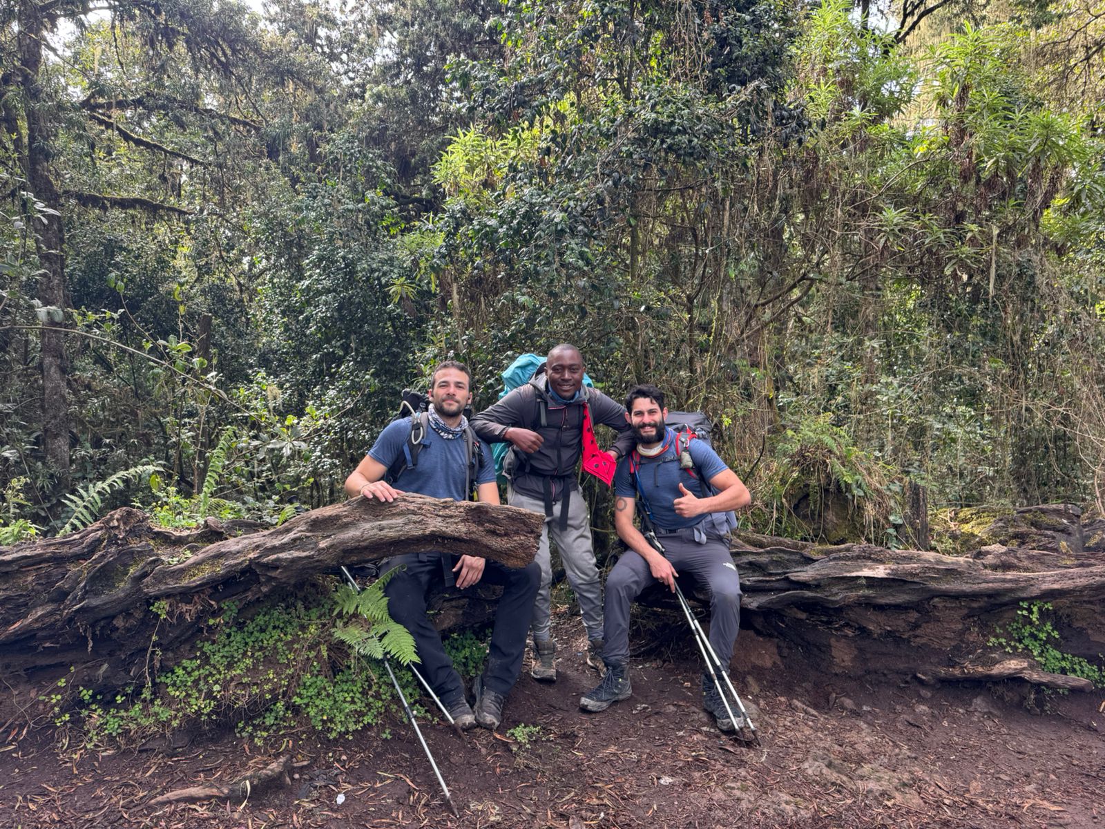 A group of hikers resting on fallen logs in a green forest